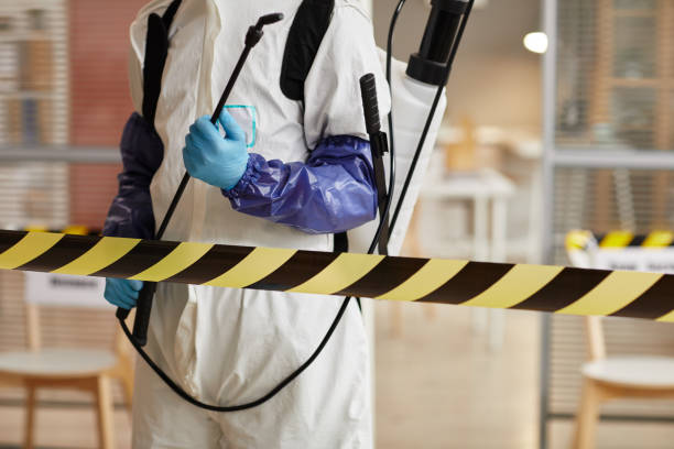 Professional Sewage Cleanup technician working in Pinole, CA